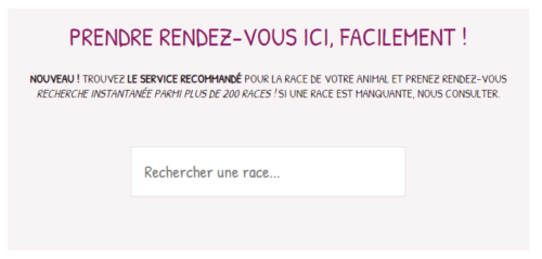 Formulaire de recherche de races avec suggestions automatiques.